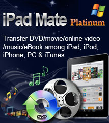 iPad Mate